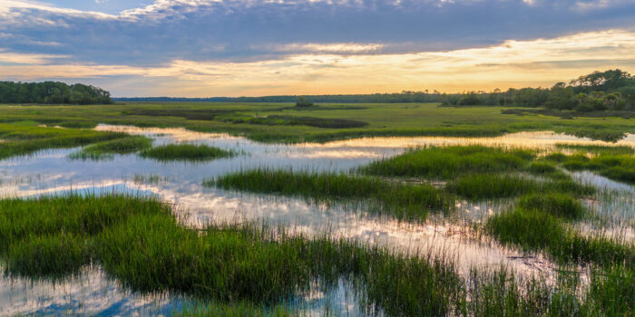 Moor in dessen Wasserflächen sich Wolken spiegeln